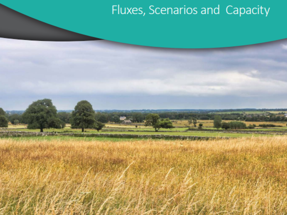 <p>Cover of “Land Use Review: Fluxes, Scenarios and Capacity”.</p>
